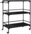 vidaXL Küchenwagen Schwarz 100,5x50x105 cm (842331)