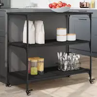 K&uuml;chenwagen Schwarz 102x50x95 Cm Holzwerkstoff Vidaxl