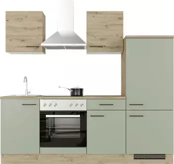 Flex-Well Komplettk&uuml;chen-Sets Cara 220x200x60cm schilfgr&uuml;n (ohne E-Ger&auml;te)