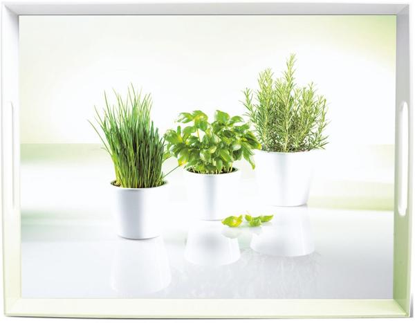 Emsa Classic Tablett Herbs 40 x 31 cm