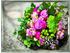 Emsa Classic Tablett Flower Bouquet 40 x 31 cm