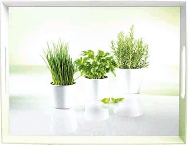 Emsa Classic Tablett Herbs 50 x 37 cm