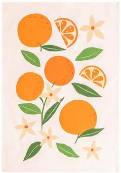 Magma Geschirrtuch Fruits "Orange" 50x70cm (54320001)