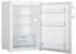 Gorenje R49DPW