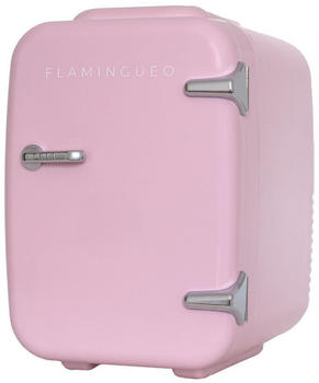 Flamingueo Mini K&uuml;hlschrank 4L Klein 12V 220V