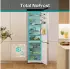 Gorenje NRB620C6X4WFE