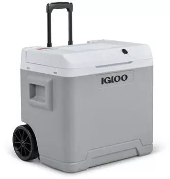 Igloo IE42 elektrische K&uuml;hlbox 42l