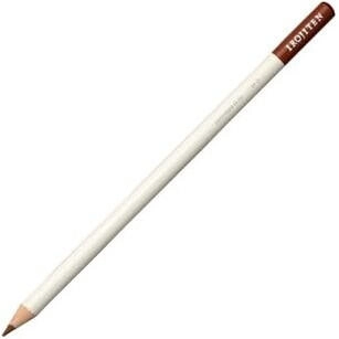 Tombow Farbstift Irojiten Herbstblatt