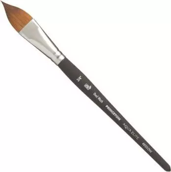 Princeton Aqua Elite Ovaler Waschpinsel 3/4" (P4850OW075)