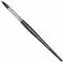 Winsor & Newton Galeria Brush