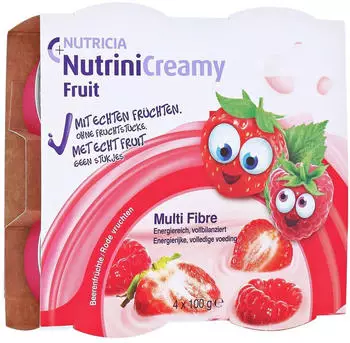 Nutricia Nutrini Creamy Fruit Beerenfr&uuml;chte 4x100 g Sonstige