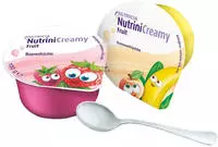Nutrini Creamy Fruit Mischkarton 32X100 g