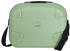 (100003_83) spring green