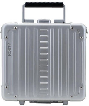 ALEON Diversty (ALC2612-PL) platinum