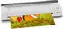 Peach PBP420 4-in-1 Laminiergerät A3 mit Hebelschneider A4, weiß (PBP420)