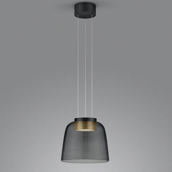 Helestra LED Pendelleuchte Oda in Schwarz-transparent und Gold 25W 1810lm schwarz