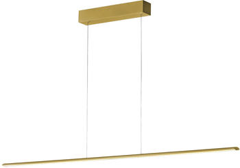 Holtkötter Epsilon RR 1630 LED-Pendelleuchte-Messing-mit dim2warm (2200K - 2700K)