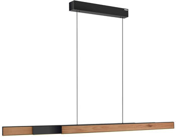 Pure Moto-Rise LED-H&auml;ngeleuchte mit CCT, holz