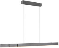 Neuhaus PURE LED Pendelleuchte "PURE Moto-Rise" LED-Board 1 Stk. warmwei&szlig; -