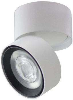 Loom Design Ray Spot White (803-001)