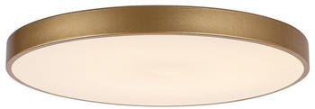 Rabalux 71038 -Dimmbare LED-Deckenleuchte TESIA LED/60W/230V 3000-6000K+Fernbedienung