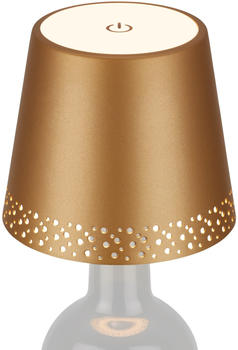 Briloner LED Flaschenlicht DxH 11x9 cm gold matt