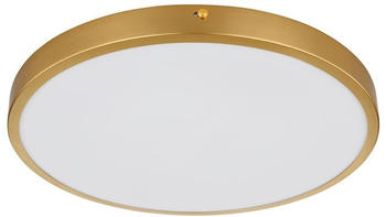 Globo 12381-22 LED-Deckenleuchte TIBEY LED/22W/230V d 35 cm