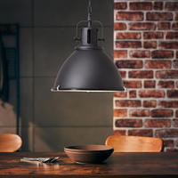 Brilliant Pendelleuchte "Jesper" E27 1 Stk. H&auml;ngelampe 47cm