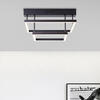 Brilliant LED Deckenleuchte »Ranut«, 2 flammig-flammig, 32 x 35 cm, 3-Stufen