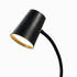 Lindby Ailina Klemmleuchte Black Lindby (10000879)