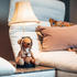 Happy Lamps LED Tischleuchte Charles der Bär in Braun und Beige 5,4W 470lm braun