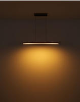 GLOBO LIGHTING LED-H&auml;ngeleuchte "DORO" LED-Modul 1 Stk. Warmwei&szlig; Pendelleuchte,