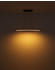Globo LED-Hängeleuchte Graphit, Opal, Schwarz, Dunkelbraun 7x120x100 cm (4558964701)