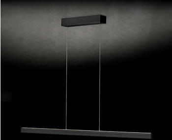 Holtkötter Avior LED-Pendelleuchte 122,5cm Black