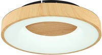 GLOBO LIGHTING LED Deckenleuchte "JOLLI" LED-Modul 1 Stk.