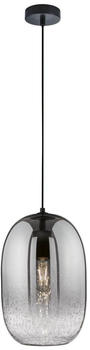 Fischer & Honsel Trace Pendelleuchte E27 Glas rauchfarben schwarz 60713