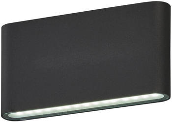 Fischer & Honsel Scone LED 2-fach 10,4W warmweiss Glas satiniert sandschwarz IP44 30557