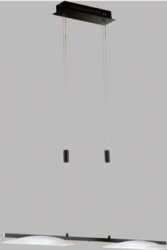 Fischer & Honsel Kop LED Pendelleuchte 2-fach 17,2W Tunable white steuerbar dimmbar Acrylglas sandschwarz 61020