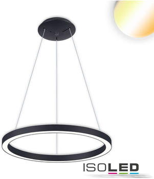 ISOLED LED Hängeleuchte Circle 580 schwarz, 48W, rund, ColorSwitch 3000/3500/4000K, dimmbar