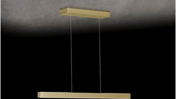 Holtkötter LED-Pendelleuchte XENA (149463)
