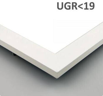 ISOLED LED Panel Business Line 625 UGR<19 2H/2H, 36W, Rahmen weiß RAL 9016, neutralweiß, Push/DALI dimmbar (113508)