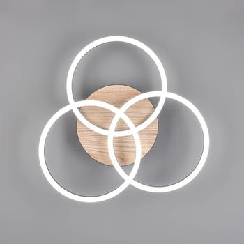 Trio LED-Deckenleuchte Circle 3-flg. Fernbedienung Holz