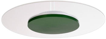 Deko-Light LED-Deckenleuchte Zaniah, 360°-Licht, 24W, grün F