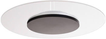 Deko-Light LED-Deckenleuchte Zaniah, 360°-Licht, 24W, schwarz F
