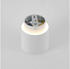 Arcchio Walisa Deckenleuchte White/Clear (9626302)