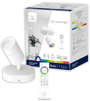 tint Nalo LED-Spot, einflammig