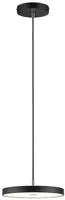 Paulmann LED Pendelleuchte "Hildor Smart Home Zigbee 20W 300 mm Schwarz 230V