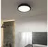 Paulmann 71084 Oka LED-Deckenleuchte 24W Schwarz (matt)
