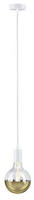 Paulmann Pendelleuchte "Ravi IP44 max 1x60W 230V Metall" E27 1 Stk. E27