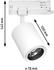 Paulmann ProRail3 LED Spot Kratos in weiß 18,5W 2000lm 4000K 36° weiß (96553)